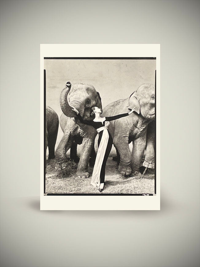 Postal 'Dovima with Elephants' - Richard Avedon, 1955