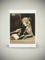 Postal 'Dog Reading' - Autor Desconocido, c. 1925