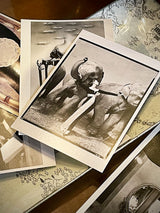 Postal 'Dovima with Elephants' - Richard Avedon, 1955