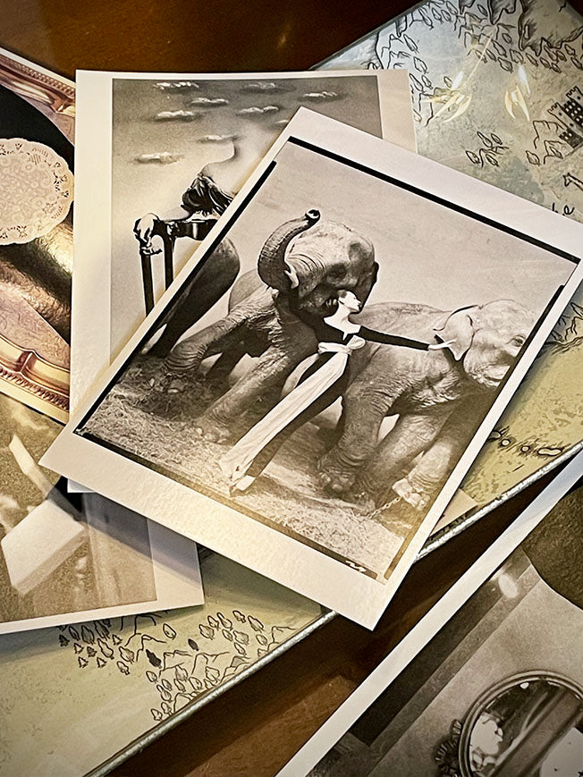 Postal 'Dovima with Elephants' - Richard Avedon, 1955