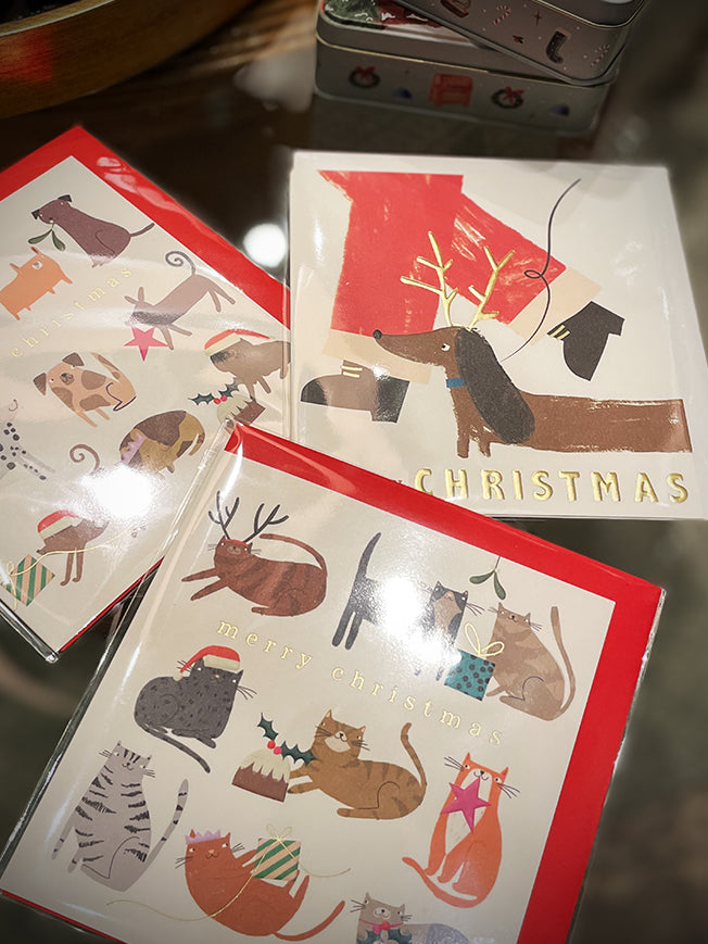 Tarjeta de Navidad 'Sausage Dog & Santa' - Caroline Gardner