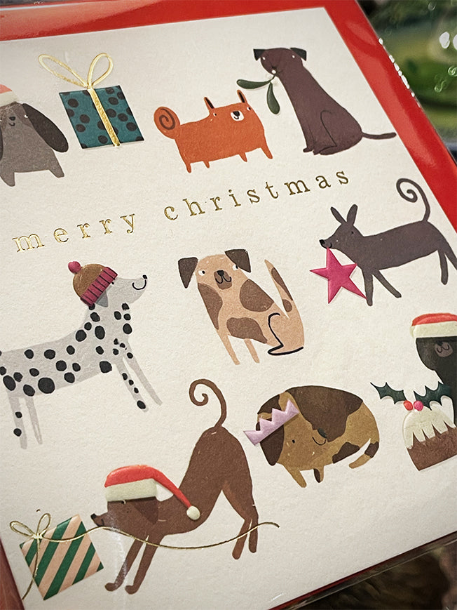 Tarjeta de Navidad 'Festive Dogs' - Caroline Gardner