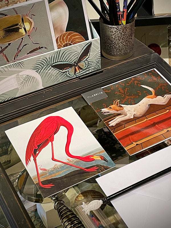tarjetas-originales-greater-flamingo