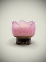 Vela 'Tulip' 155 gms - Bronzed Gardenia