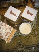 'Long Story' Decorative Candle