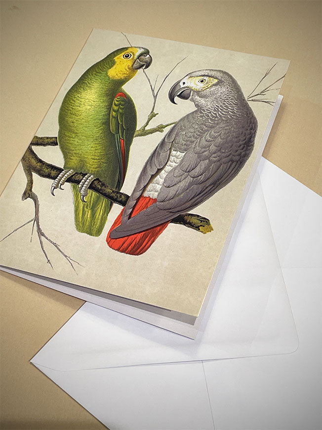 Greeting Card 'Amazon and Green Parrots'- British Library