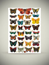 Sheet of German Scrap Reliefs 'Butterflies I'