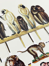 Sheet of German Scrap Reliefs 'Paradise of Monkeys'