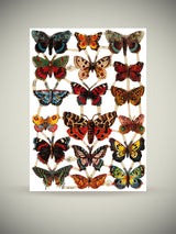 Sheet of German Scrap Reliefs 'Butterflies II'