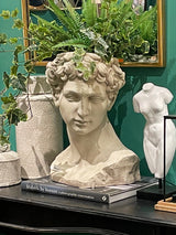 Decorative Vase 'Bust of David'