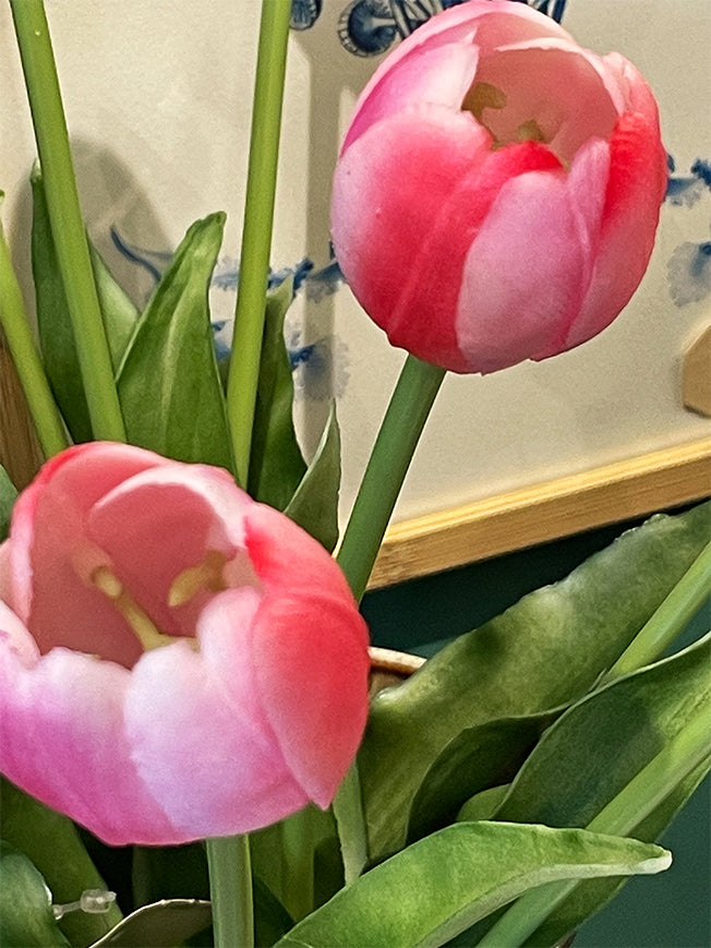 Ramo de 5 Tulipanes Rosas y Blancos 'Brigitte'