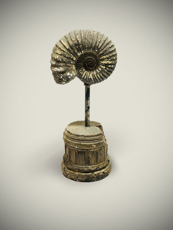 Decorative Replica 'Sea Shell' on Pedestal