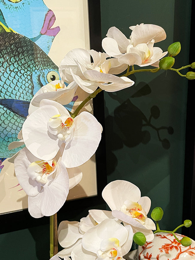 White Orchid in Glass Vase 'Phalaenopsis'