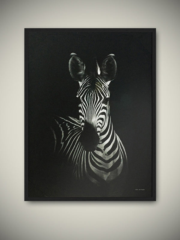 Lámina Enmarcada ‘Cebra’ 50x70 cm