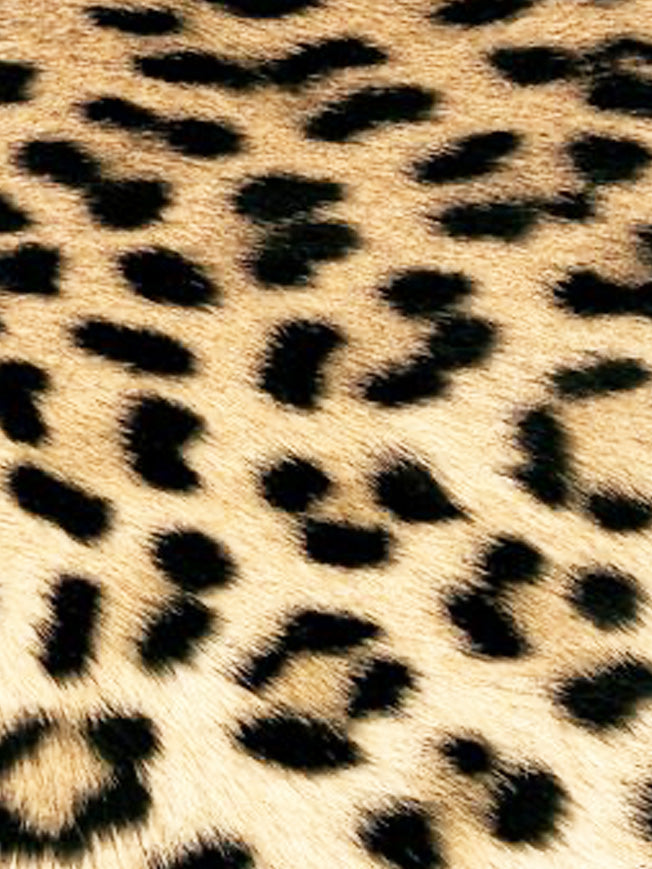 Pack of 20 Paper Napkins 'Leopard Couture' - 33x33 cm