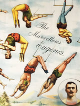 Papel Envoltorio 'The Marvellous Eugenes' - 70x50 cm