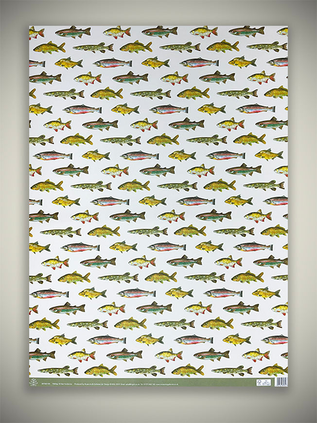 Wrapping Paper 'Fishing' - 50x70 cm - Dee Hardwicke – Tartan & Zebra