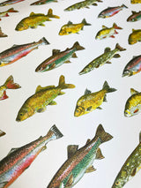 Wrapping Paper 'Fishing' - 70x50 cm