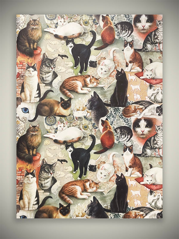 Wrapping Paper 'The Nine Lives of Cats' - 100x70 cm