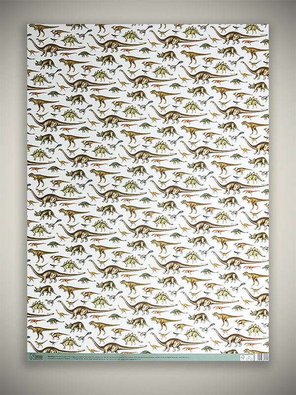 Wrapping Paper 'Dinosaurs' - 70x50 cm