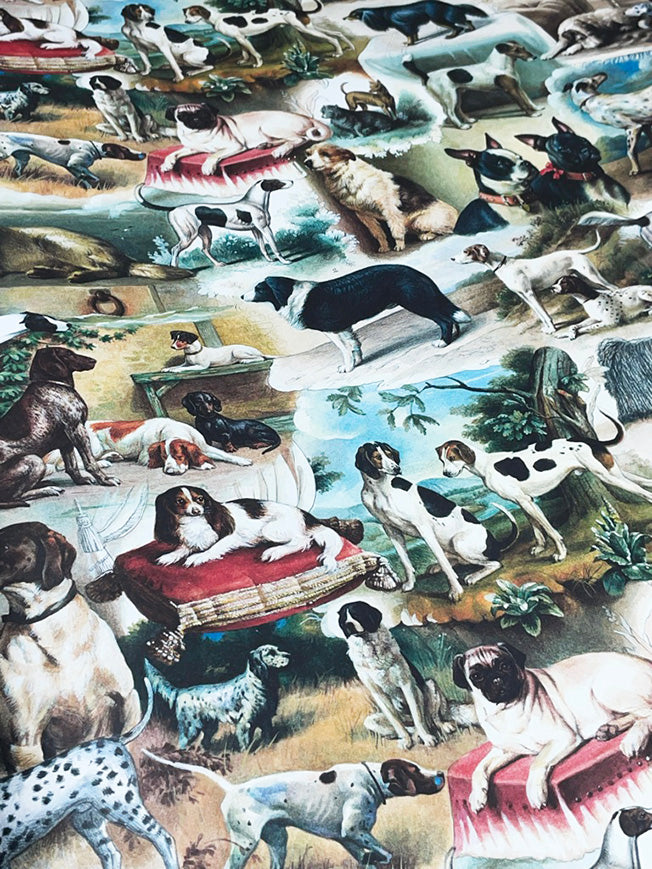 Papel Envoltorio 'Darling, The Dogs Are Alright' - 100x70 cm