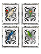 Decorative prints 'Parrots and Stripes'