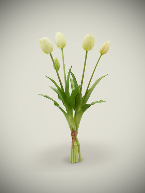 Bouquet of 5 Light Tulips 'Gloria'
