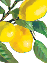 Pack de 20 Servilletas de Papel 'Lemon Musée' - 25x25 cm