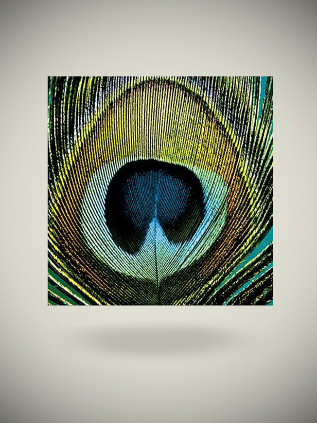 Pack of 20 Paper Napkins 'Paradise Peacock' - 33x33 cm