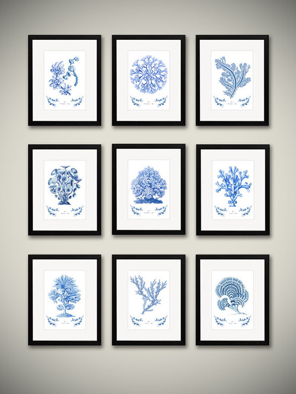 Decorative Prints 'Blue Corals and Algae'