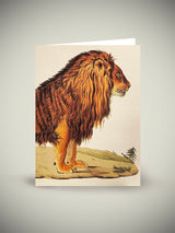 Greeting Card 'A Barbary Lion' - British Library