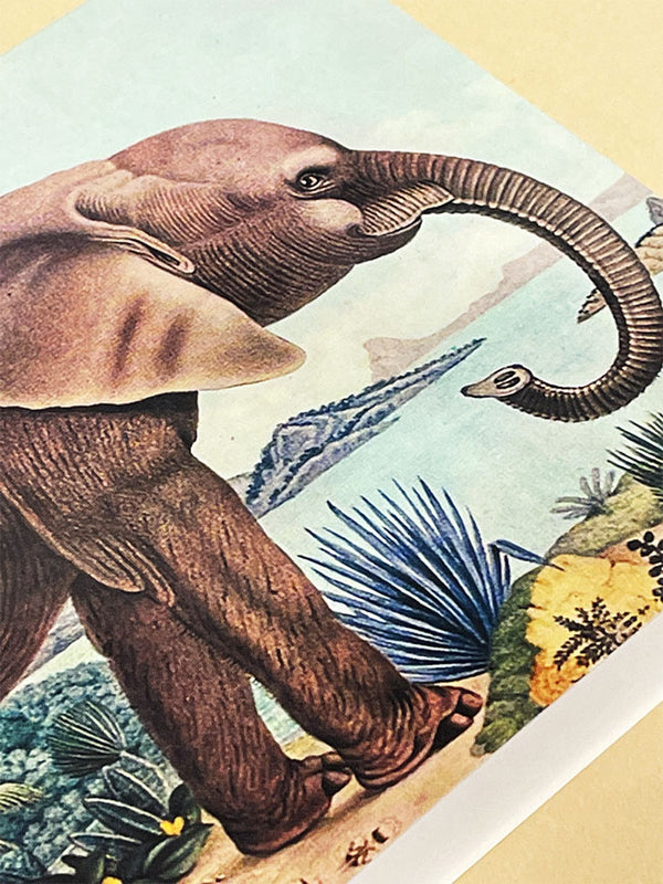 Tarjeta 'The African Elephant' - Aloys Zötl