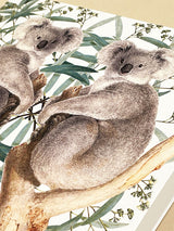 Tarjeta de Felicitación 'Koala' - Natural History Museum