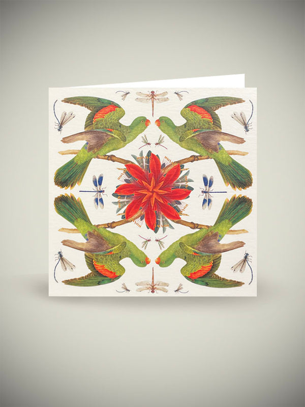 Greeting Card 'Red Winged Parrot' - Natural History Museum