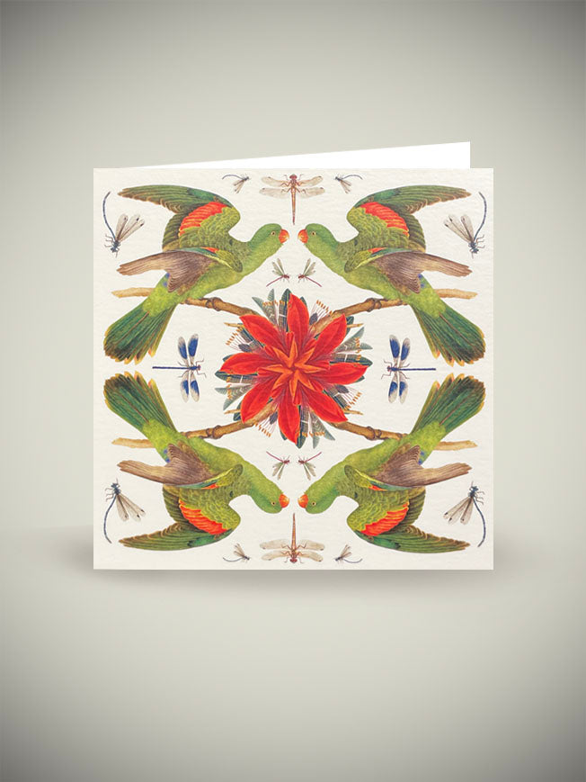 Greeting Card 'Red Winged Parrot' - Natural History Museum