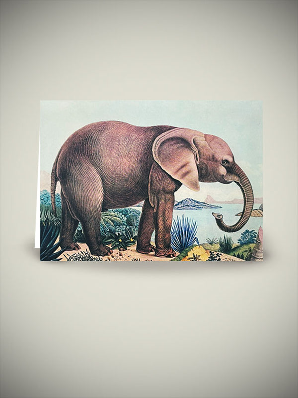 Greeting Card 'The African Elephant' - Aloys Zötl