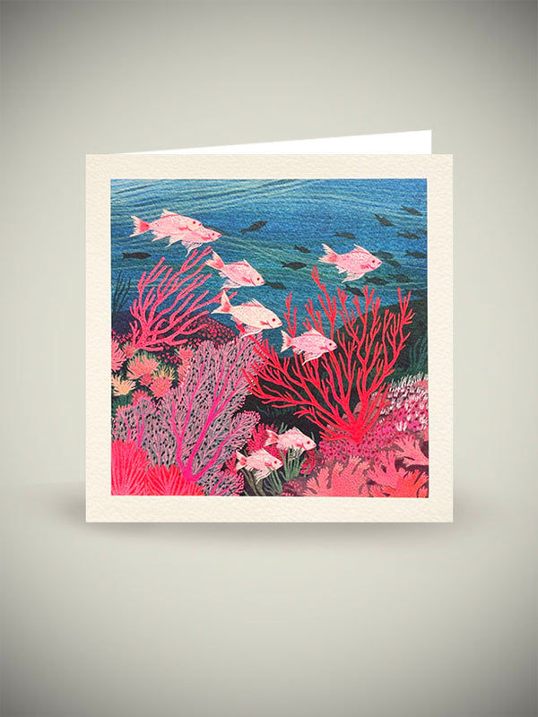 Greeting Card 'Tropical Fish' - Becca Stadtlander