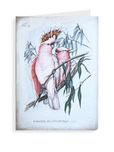 Greeting Card 'Pink Cockatoos'