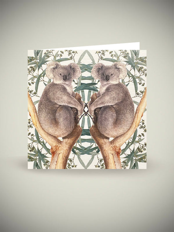 Greeting Card 'Koala' - Natural History Museum
