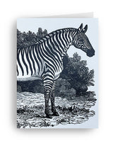Tarjeta 'Zebra' - Thomas Bewick, Tate Gallery
