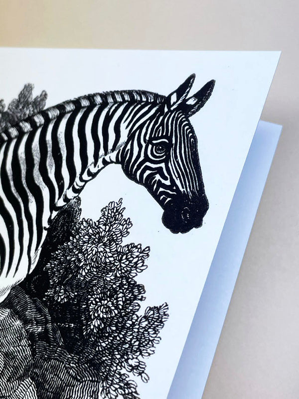 Greeting Card 'Zebra' - Thomas Bewick, Tate Gallery
