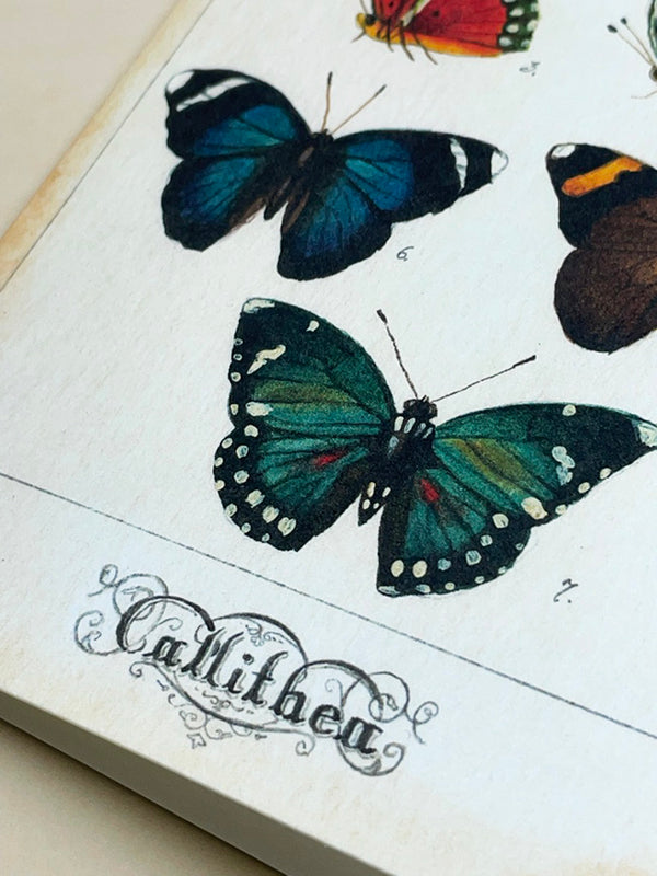 Greeting Card 'Collection of Butterflies'