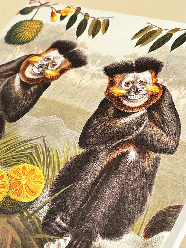 Greeting Card 'Capuchin Monkey' - Natural History Museum