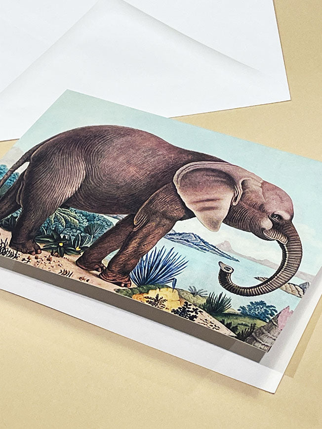 Greeting Card 'The African Elephant' - Aloys Zötl