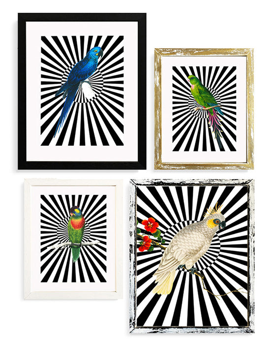 Decorative prints 'Parrots and Stripes'